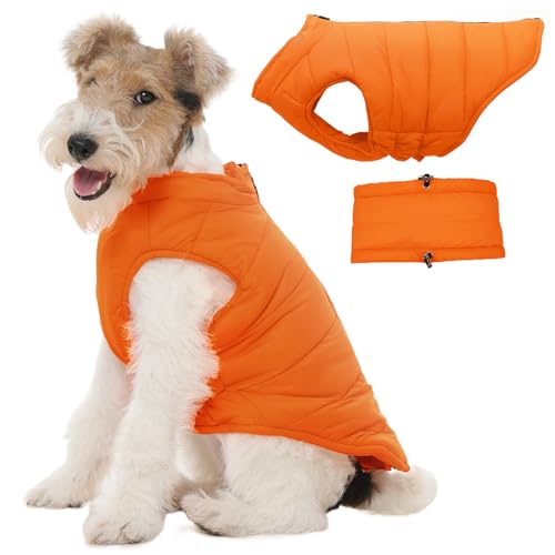 LeleTail Kaltwettermantel für kleine Hunde, Jungen und Mädchen, warme Haustierjacke für den Winter, winddicht, Haustierweste mit Reißverschluss am Hals für Dackel, West Highland White Terrier, Orange von LeleTail