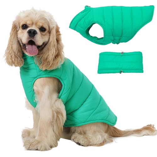 LeleTail Warmer Hundemantel, Haustierweste mit Reißverschluss für Hunde, Kaltwettermäntel für mittelgroße Haustiere, einfaches An- und Ausziehen, Winter-Schneejacke, Kleidung für Französische von LeleTail