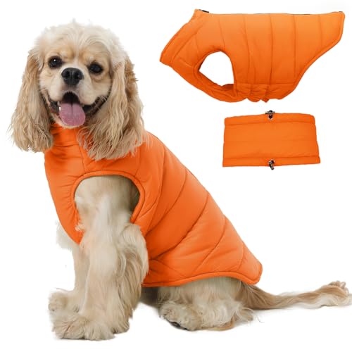 LeleTail Warmer Hundemantel, Haustierweste mit Reißverschluss für Hunde, kaltes Wetter, Mäntel für mittelgroße Haustiere, einfaches An- und Ausziehen, Winter-Schneejacke, Kleidung für Französische von LeleTail