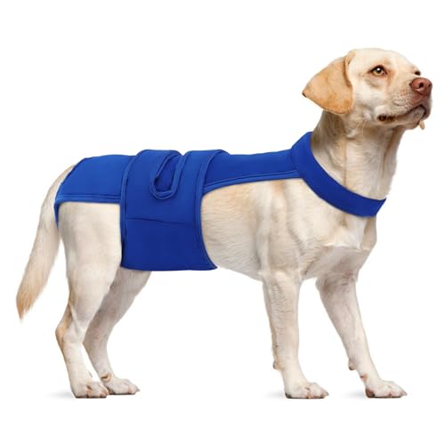 Leletail Hundewindeln für Damen, wiederverwendbar, waschbar, Periodenwindel mit Hosenträger, verstellbare Hundehöschen, Anti-Belästigung, Hundewindeln für Inkontinenz, Hitzezyklen oder ältere Hunde Leletail Hundewindeln für Damen, wiederverwendbar, waschbar, Periodenwindel mit Hosenträger, verstellbare Hundehöschen, Anti-Belästigung, Hundewindeln für Inkontinenz, Hitzezyklen oder ältere Hunde von LeleTail