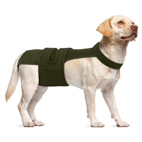 Leletail Hundewindeln für Damen, wiederverwendbar, waschbar, Periodenwindel mit Hosenträger, verstellbare Hundehöschen, Anti-Belästigung, Hundewindeln für Inkontinenz, Hitzezyklen oder ältere Hunde Leletail Hundewindeln für Damen, wiederverwendbar, waschbar, Periodenwindel mit Hosenträger, verstellbare Hundehöschen, Anti-Belästigung, Hundewindeln für Inkontinenz, Hitzezyklen oder ältere Hunde von LeleTail