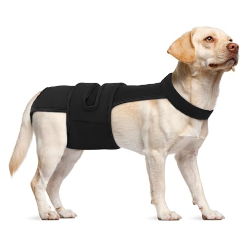 Leletail Hundewindeln für Damen, wiederverwendbar, waschbar, Periodenwindel mit Hosenträger, verstellbare Hundehöschen, Anti-Belästigung, Hundewindeln für Inkontinenz, Hitzezyklen oder ältere Hunde Leletail Hundewindeln für Damen, wiederverwendbar, waschbar, Periodenwindel mit Hosenträger, verstellbare Hundehöschen, Anti-Belästigung, Hundewindeln für Inkontinenz, Hitzezyklen oder ältere Hunde von LeleTail