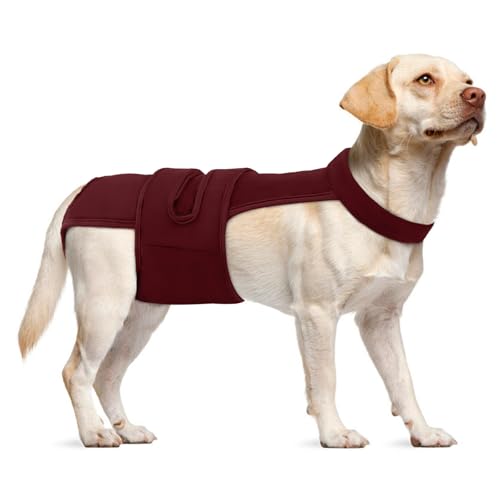 Leletail Hundewindeln für Damen, wiederverwendbar, waschbar, Periodenwindel mit Hosenträger, verstellbare Hundehöschen, Anti-Belästigung, Hundewindeln für Inkontinenz, Hitzezyklen oder ältere Hunde Leletail Hundewindeln für Damen, wiederverwendbar, waschbar, Periodenwindel mit Hosenträger, verstellbare Hundehöschen, Anti-Belästigung, Hundewindeln für Inkontinenz, Hitzezyklen oder ältere Hunde von LeleTail