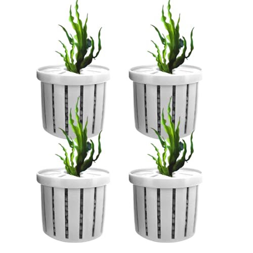 Lembeauty Aquarium Pflanzenhalter,Pflanzenbecher für Aquarien - Dekorativer Wasserpflanzen Halter, Wasserdékor Für Aquarien In Wohnung, Büro Und Restaurant von Lembeauty