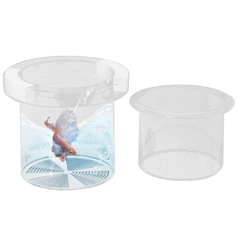 Lembeauty Zuchtbox Für Aquarium - Jungfisch-Separator für Aquarium - Sichere Brut- und Aufzuchtstation für Betta Jungfische Skalar Eier Akklimatisierung von Lembeauty