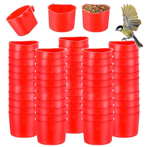 Futterspender für Vögel, zum Aufhängen, Samenschüssel, 237 ml, Kunststoff, Hühner-Futterstation, Wassernapf, zum Aufhängen, für Hühner, Bewässerung, Schale, für Wildfaule, Papageien, Sittiche Futterspender für Vögel, zum Aufhängen, Samenschüssel, 237 ml, Kunststoff, Hühner-Futterstation, Wassernapf, zum Aufhängen, für Hühner, Bewässerung, Schale, für Wildfaule, Papageien, Sittiche von Lemecima