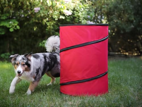 Hoopers Tonne für Hundesport 2 Stück, Hundetraining ohne Sprünge, Agility Barrel, einfacher Pop-Up Aufbau, Aufbewahrungstonne, Gartenabfallsack Hoopers Tonne für Hundesport 2 Stück, Hundetraining ohne Sprünge, Agility Barrel, einfacher Pop-Up Aufbau, Aufbewahrungstonne, Gartenabfallsack von Lemodo