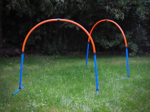 Lemodo Hoopers Set mit 2 Bögen, Agility Set, Steckhürden-Set mit Tasche, Hundesport, Hundetraining Lemodo Hoopers Set mit 2 Bögen, Agility Set, Steckhürden-Set mit Tasche, Hundesport, Hundetraining von Lemodo