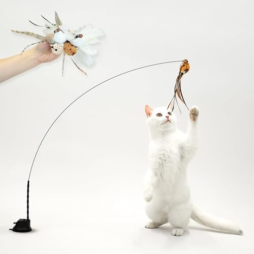 Leo's Paw Interaktives Katzenspielzeug-Set, realistische, Bunte Federn, Glocken auf Zauberstab, selbsthaltender Saugnapf, stimulierend, realer Vogelabdruck, Jagd, Übung (5 Vögel) von Leo's Paw