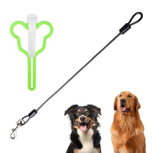 Leohaze Hausleine für Hunde, Anti-Biss Retrieverleine, Trainingsleine für Hunde mit Komfort Kissen Griff, Geeignet für Spaziergänge Im Freien und Hundetraining Leohaze Hausleine für Hunde, Anti-Biss Retrieverleine, Trainingsleine für Hunde mit Komfort Kissen Griff, Geeignet für Spaziergänge Im Freien und Hundetraining von LeoHaze