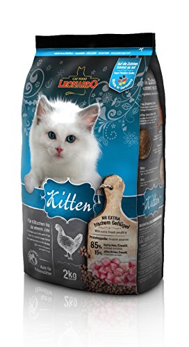 Leonardo Kitten [2kg] Kittenfutter | Trockenfutter für Kitten | Alleinfuttermittel für Kitten bis zu 1 Jahr von Leonardo
