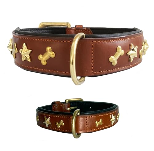 Hochwertiges Robustes Hundehalsband aus echtem Leder mit Verstellbarer Passform, Applikationen Halsband Hund in 5 verschiedenen Größen– breit und schmal –für kleine, mittelgroße und große Hunde (L) von Leone Equipment