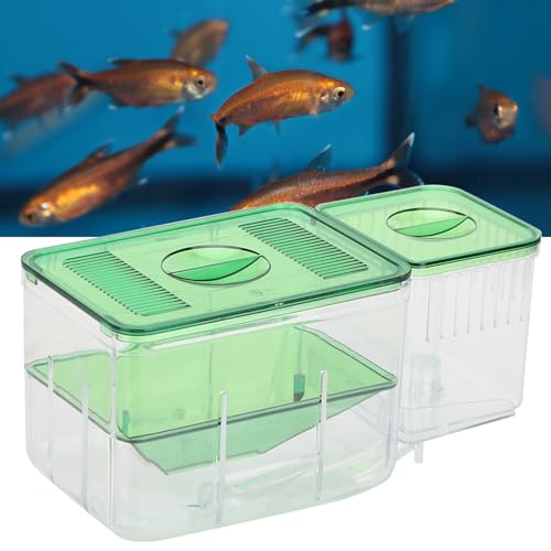 Little Fish Doppelschicht-Isolierungsinkubator für Verletzte Kleine Garnelen, Aquarientanks, Zuchtbox, Transparente Brutstätte, Garnelenzüchter und mit Materialien, die von Leopacat