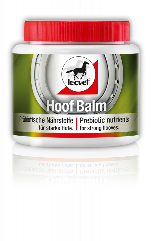 Leovet Hoof Balm Präbiotisch 450 ml Mit präbiotischen Nährstoffen Leovet Hoof Balm Präbiotisch 450 ml Mit präbiotischen Nährstoffen von Leovet