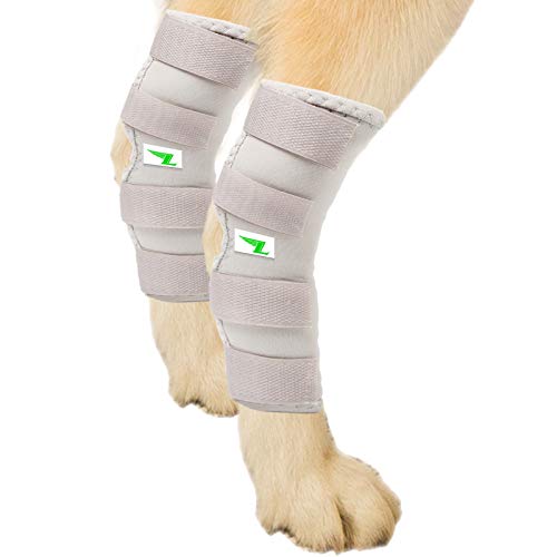 Hinderbein-Bandage für Hinterbeine, 2 Stück (XL/Grau) von Lepark