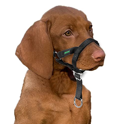 Hundehalfter für Training, buntes Kopfgeschirr für Hunde, um zu stoppen, zu ziehen, verstellbar und leicht zu kontrollieren (S, rot) von Lepark