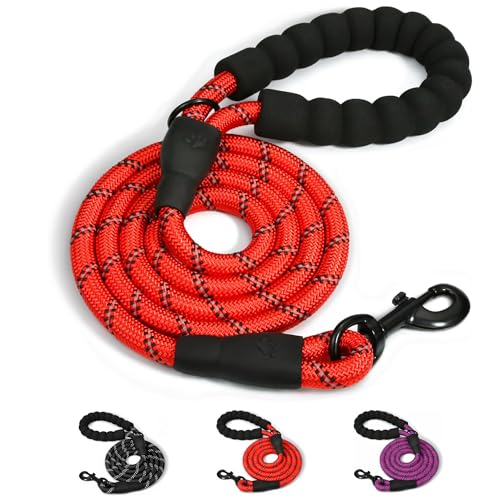 Hundeleine aus Seil mit bequemem gepolstertem Griff und stark reflektierenden Fäden, langlebige stabile Hundeleine für mittelgroße und große Hunde (Rot, 150 x 12 cm) von Lepat