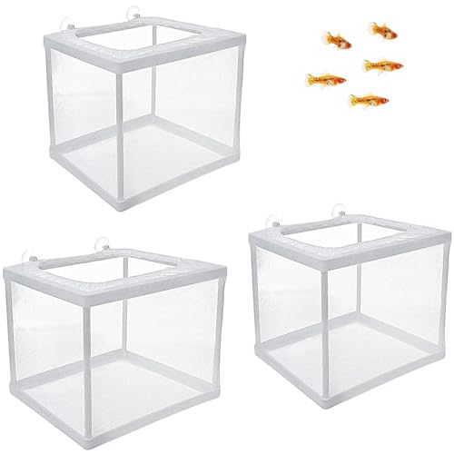 3 Stück Ablaichkasten Aquarium, Aufzuchtbecken Aquarium, Schwimmende Laichkasten, Babyfisch Becken, laichkasten für Aquarium, mit 6 Saugnäpfe für Fische Garnelen Brutkasten Zuchttanks von Lepidi