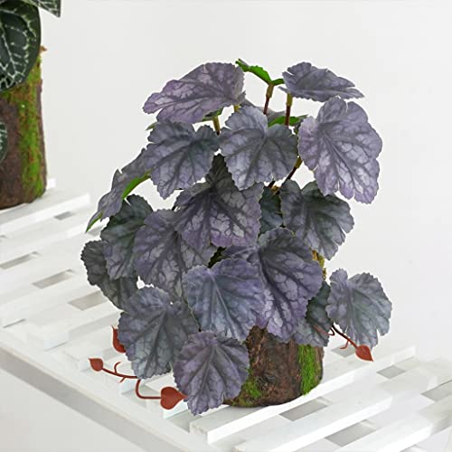 Terrarium Kunstpflanze für Amphibien für Tank Pet Habitat Dekorationen Blätter 10 Sty Amphibien Terrarium von Lerpwige