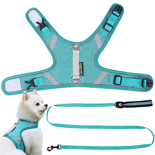 Hundegeschirre - Air-Mesh-Hundegeschirr und Leine-Set - Atmungsaktives und bequemes Hundewestengeschirr, Harness Buddy Medium Dog, Welpengeschirr mit reflektierenden Riemen für Sicherheit Leryveo von leryveo