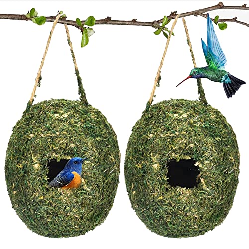 2 Stück Gras Bird Nest, Vogelnest Gras Vogelnest für Draußen Vogelhäus zum Aufhängen Vogelnest Deko Handgewebte Vogelhäuser, für Kleine Vögel wie Kohlmeisen, Robin, Spatzen und Titten, Rotkehlchen von Les-Theresa