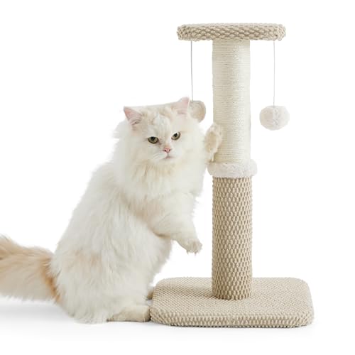 Lesure Indoor Kratzstamm Kleiner Katzen – 57 cm Kratzsäule für Katzen mit Plattform aus strapazierfähiger Teppichstoff, Kratzbaum klein Katzen stabil mit Sisal und hängendem Ball, beige von Lesure