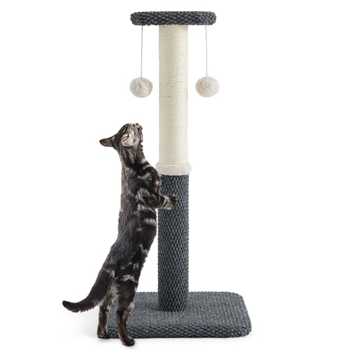 Lesure Kratzstamm mittelgroß für Katzen – 74 cm Kratzsäule für Katzen mit Plattform aus strapazierfähiger Teppichstoff, Kratzbaum mittel Katzen stabil mit Sisal und hängendem Ball, dunkelgrau von Lesure