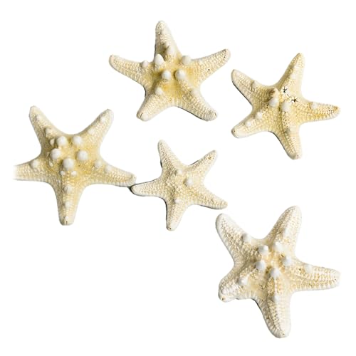 LetCart DIY Strand-Themen-Dekoration, Seestern-Aquarium-Dekorationsset für Aquarium, einzigartiges schönes Seestern-Ornament für Zuhause, DIY, Bilderrahmen, Windspiel, Typ 1, 5 Stück, 5 x 7,5 cm LetCart DIY Strand-Themen-Dekoration, Seestern-Aquarium-Dekorationsset für Aquarium, einzigartiges schönes Seestern-Ornament für Zuhause, DIY, Bilderrahmen, Windspiel, Typ 1, 5 Stück, 5 x 7,5 cm von LetCart