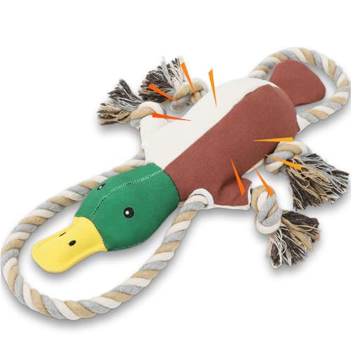 Lesmeet Ente Hundespielzeug für Aggressive Kauer, Welpenspielzeug mit Knisterpapier und Quietscher, interaktives Tauziehen Hundespielzeug für kleine, mittelgroße und große Rassen Lesmeet Ente Hundespielzeug für Aggressive Kauer, Welpenspielzeug mit Knisterpapier und Quietscher, interaktives Tauziehen Hundespielzeug für kleine, mittelgroße und große Rassen von Letsmeet