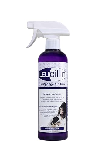Leucillin Natürliches Antiseptisches Spray | Antibakteriell, antimykotisch & antiviral | für Hunde, Katzen und alle Tiere | für juckende Haut, Minor-Wundpflege und alle Hautpflege | 500 ml von Leucillin