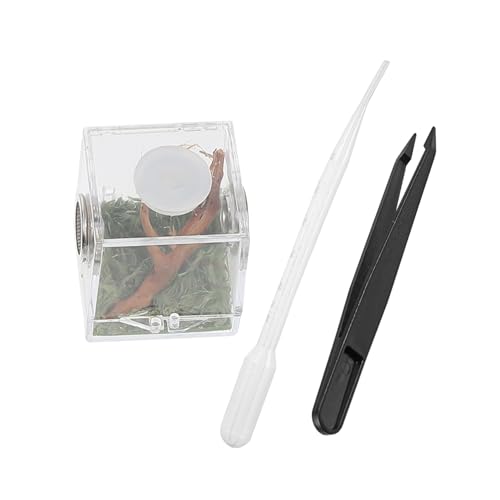 Levemolo 1 Satz Transparente Reptilien Fütterungsbox Stabile Zuchtbox aus für Spinnen und Insekten Praktische Aufbewahrung für Terrarien und Reptilienbedarf von Levemolo