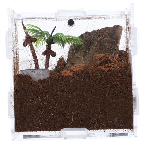 Levemolo 1satz Transparente Spinnen-habitatbox Acryl Zuchtbox Für Springspinnen Insekten Und Kleintiere Atmungsaktives Design Für Zuhause Und Büro Einfache Reinigung Und Pflege Levemolo 1satz Transparente Spinnen-habitatbox Acryl Zuchtbox Für Springspinnen Insekten Und Kleintiere Atmungsaktives Design Für Zuhause Und Büro Einfache Reinigung Und Pflege von Levemolo