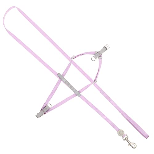 Levemolo 1satz Hundegeschirr Für Kleine Hunde Verstellbar Leichtes Design Für Outdoor-aktivitäten Mit Hundeleine Und Einhändiger Bedienung Sicheres Training Und Joggen Flexibel Und von Levemolo