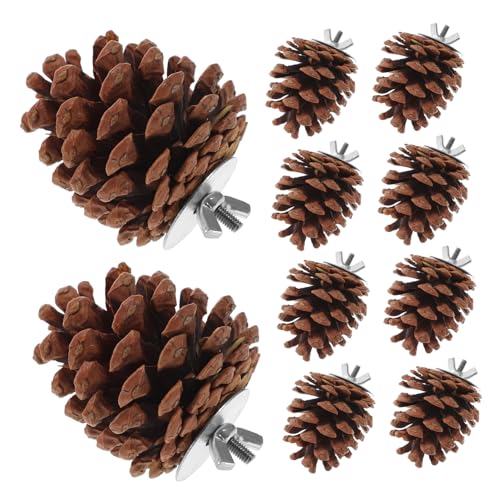 Levemolo 10stücke Papageien Kauspielzeug Aus Natürlichem Und Kiefernnadeln Für Vögel Zum Knabbern Und Spielzeug Für Gesunde Beschäftigung Im Käfig Levemolo 10stücke Papageien Kauspielzeug Aus Natürlichem Und Kiefernnadeln Für Vögel Zum Knabbern Und Spielzeug Für Gesunde Beschäftigung Im Käfig von Levemolo