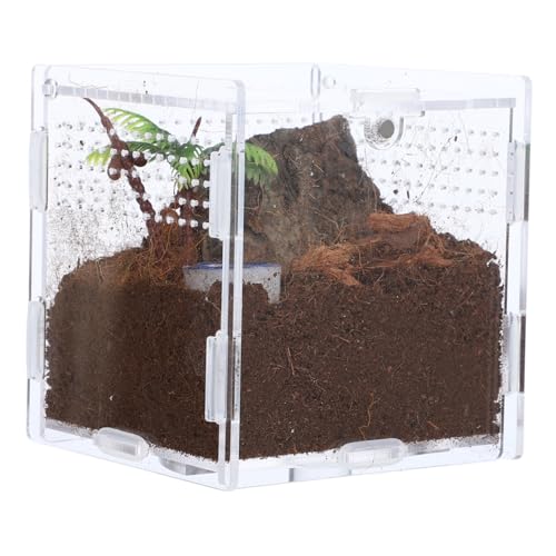 Levemolo 1satz Spinnenzuchtbox Transparente Futterbox Für Jumping Spiders Insektenhabitat Mit Belüfteten Seitenlöchern Für Kleine Reptilien Und Insekten Weiß Levemolo 1satz Spinnenzuchtbox Transparente Futterbox Für Jumping Spiders Insektenhabitat Mit Belüfteten Seitenlöchern Für Kleine Reptilien Und Insekten Weiß von Levemolo