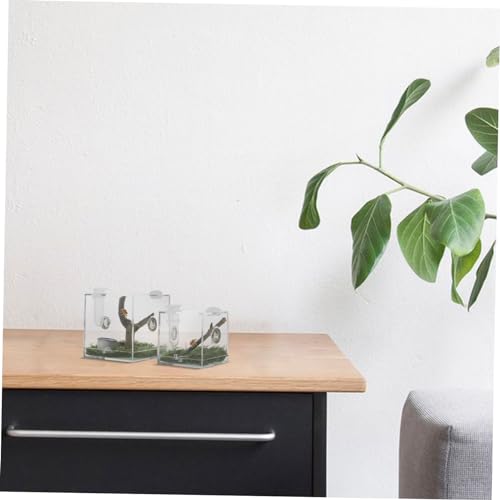 Levemolo 2 Stück Teiliges Spinnenzuchtgehäuse mit Belüftung Transparentes Insekten Terrarium für Springspinnen Grillen und Kleine Reptilien Geeignet für Aufzucht und Fütterung Praktisch Levemolo 2 Stück Teiliges Spinnenzuchtgehäuse mit Belüftung Transparentes Insekten Terrarium für Springspinnen Grillen und Kleine Reptilien Geeignet für Aufzucht und Fütterung Praktisch von Levemolo