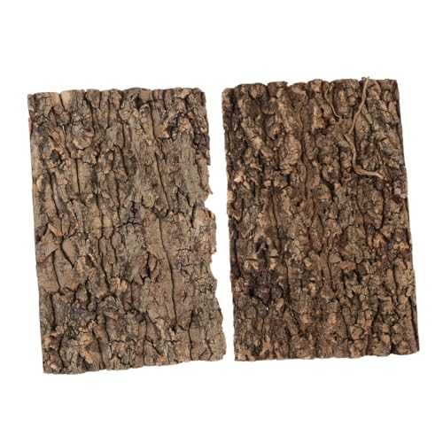 Levemolo 2stücke Reptilien Plattform Aus Baumrinde Natürliche Klettermöglichkeit Für Echsen Und Geckos Dekorative Terrarium-Dekoration Für Sicheres Und Ansprechendes Habitat von Levemolo