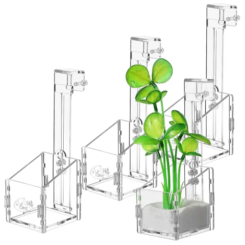 Levemolo 4-teilig Acryl Pflanzhalter Für Aquarium Wasserpflanzenhalter Transparenter Aquarium-pflanztopf Zur Dekoration von Levemolo
