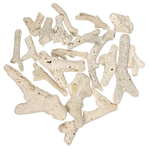 Levemolo Aquarium Dekorative Steine Naturstein Filtermaterial Für Aquarien Ph-regulierend Langlebig Und Leicht Zu Reinigen Für Aquarien Und Pflanzendekoration Levemolo Aquarium Dekorative Steine Naturstein Filtermaterial Für Aquarien Ph-regulierend Langlebig Und Leicht Zu Reinigen Für Aquarien Und Pflanzendekoration von Levemolo
