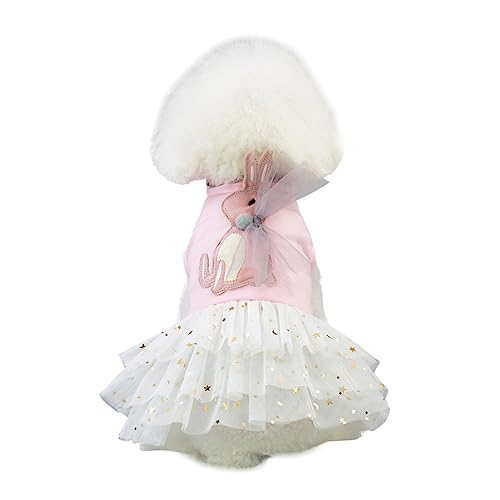 Levemolo Hübsches Hundekleid Mit Tutu-Rock Und Spitze Einteiliges Outfit Für Kleine Hunde Für Partys Outdoor-aktivitäten Und Fotoshootings Xs von Levemolo