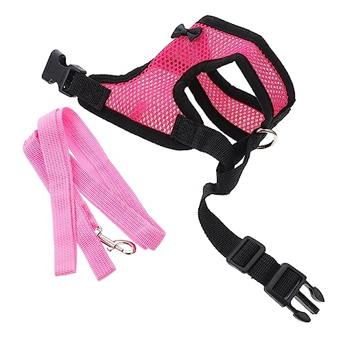 Levemolo Elegante Hühnerweste Modisches Netzgewebe Für Hühner Haustiere Hahn Mit Leine Henne Zubehör Bequeme Passform Levemolo Elegante Hühnerweste Modisches Netzgewebe Für Hühner Haustiere Hahn Mit Leine Henne Zubehör Bequeme Passform von Levemolo