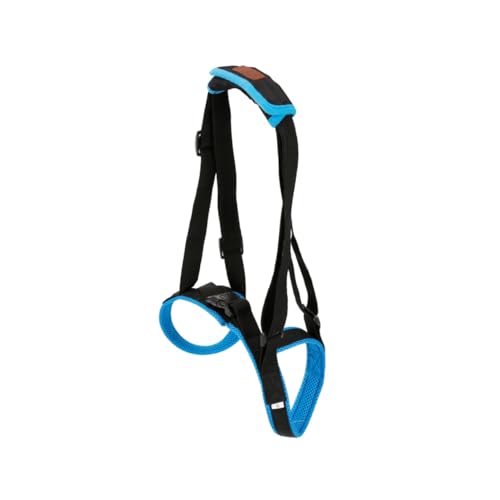 Levemolo Hundetreppenhilfe Tragbarer Pet Support Belt für Ältere Hunde mit Beinproblemen Atmungsaktives Mesh Material Weiche Pu Griffe Unterstützend Beim Gehen und Treppensteigen Blau von Levemolo