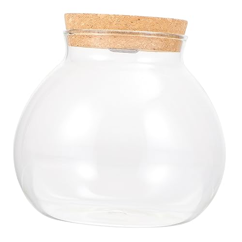 Levemolo Landschaftsflasche Terrarium Mit Deckel Uv-Lampe Große Klare Ornamente Tippee Fischaquarium Fischglas Mit Fischschalen Aquariumdekoration Großes Fischglas Solar- Holz Weiß Levemolo Landschaftsflasche Terrarium Mit Deckel Uv-Lampe Große Klare Ornamente Tippee Fischaquarium Fischglas Mit Fischschalen Aquariumdekoration Großes Fischglas Solar- Holz Weiß von Levemolo