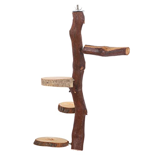Levemolo Vögel Springen Stand Papagei Hause Spielzeug Holz Sprungbrett Zarte Design Levemolo Vögel Springen Stand Papagei Hause Spielzeug Holz Sprungbrett Zarte Design von Levemolo