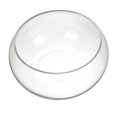 Levemolo Klarer Goldfischglas Terrarium Runde Glasvase Für Pflanzen Und Fische Für Büro Und Zuhause Langlebig Und Ansprechend von Levemolo