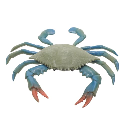 Levemolo Spielzeug Realistische Krabbe Pädagogische Simulationskrabbe Künstliche Kunstkrabbe Spielset-modellkrabbe Simuliertes Krabbenspielzeug Dekoration Aquarium Levemolo Spielzeug Realistische Krabbe Pädagogische Simulationskrabbe Künstliche Kunstkrabbe Spielset-modellkrabbe Simuliertes Krabbenspielzeug Dekoration Aquarium von Levemolo