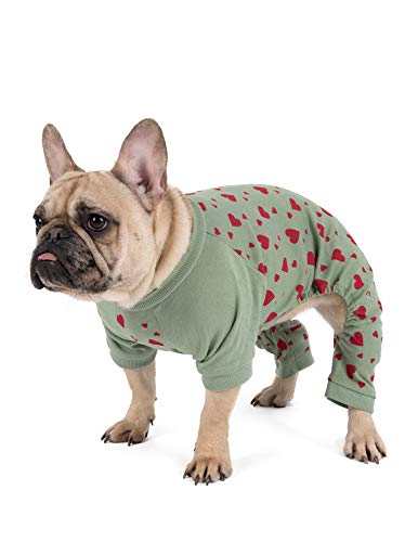 Leveret Passender Hunde-Schlafanzug, 100 % Baumwolle, Aqua-Herzen, Größe XS von Leveret