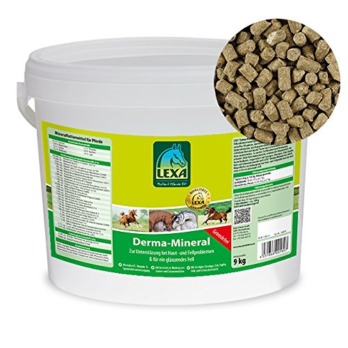 Lexa Derma-Mineral-9 kg Eimer von LEXA