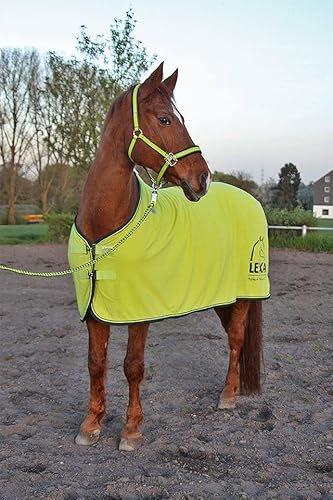 LEXA Eskadron Abschwitzdecke XXL LEXA Eskadron Abschwitzdecke XXL von LEXA