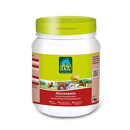 Glucosamin 1 kg Dose von LEXA